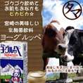 ヨーグルッペ(乳酸菌飲料)1000ml霧島山麓で育った牛の生乳を、ドイツから輸入したビフィズス菌・アシドフィルス菌・ サーモフィルス菌で乳酸発酵させた飲料