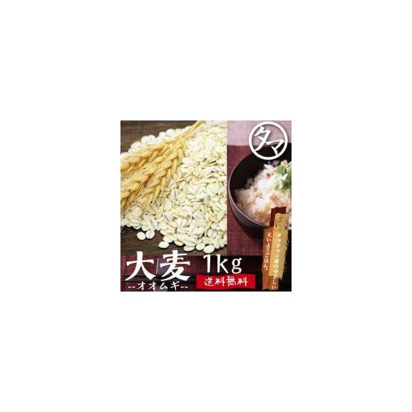 九州産大麦 【送料無料】 1000g 食べる食物繊維の宝庫な食材01