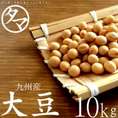 【送料無料】九州（宮崎産）令和2年産 大豆 10kｇ (遺伝子組み換えなし)　【BCAA ロイシン】