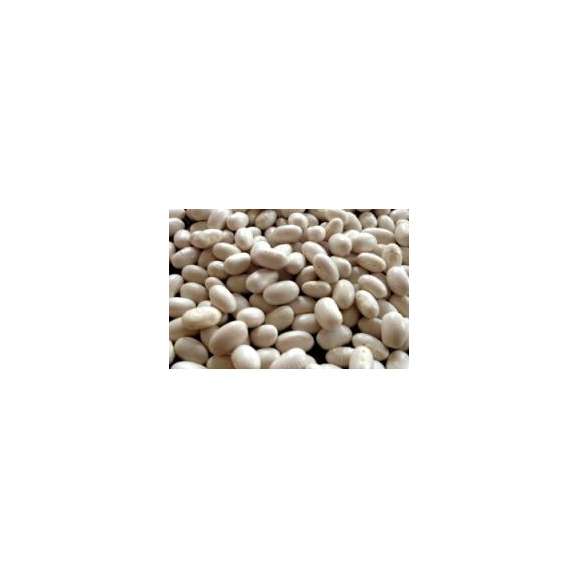 5000g 北海道産 白いんげん豆（大手亡豆）（30年度産） 送料無料02