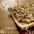 5000g 北海道産 白いんげん豆（大手亡豆）（30年度産） 送料無料