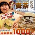 【送料無料】九州産麦茶（むぎ茶） 100パック入り 無添加・ノンカフェイン