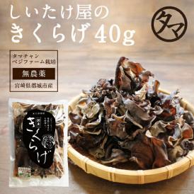 ぷりぷり！コリコリ！タマチャンの無農薬乾燥キクラゲ40g  コリコリ美味しいきくらげ