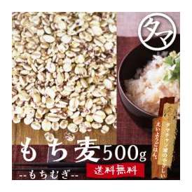 九州産もち麦 【送料無料】 500g（250g×2袋） もっちりプチプチとした食感と食物繊維が豊富な食材