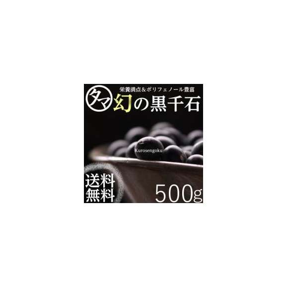 【送料無料】 幻の黒千石 (黒大豆) ５００ｇ　令和4年産01