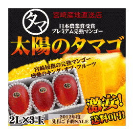 最高級フルーツ宮崎の厳しい基準を乗り越えた『香り・色艶・糖度』全てが最高のプレミアム宮崎完熟マンゴー