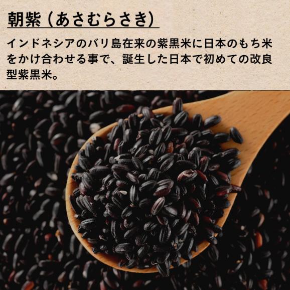 【送料無料】黒米 (黒紫米)２5０ｇ 日本産02