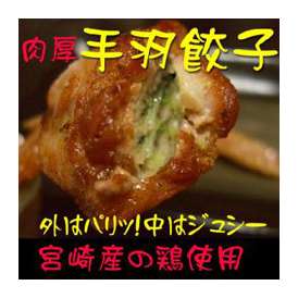 宮崎鶏使用肉厚手羽餃子〜１０本入り〜 ジューシーでやわらか〜