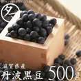 【送料無料】丹波黒大豆大粒２Ｌサイズ=500g