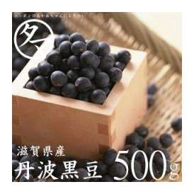 【送料無料】丹波黒大豆大粒２Ｌサイズ=500g