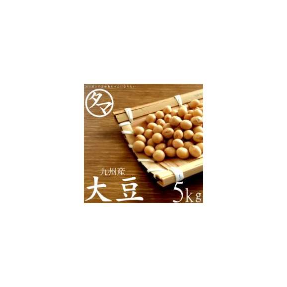 【送料無料】九州産 大豆 5kｇ （令和2年産）【BCAA ロイシン】01