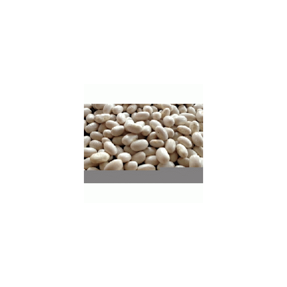 北海道産 白いんげん豆 （ 大手亡豆 ） 500g （ 30年度産）02