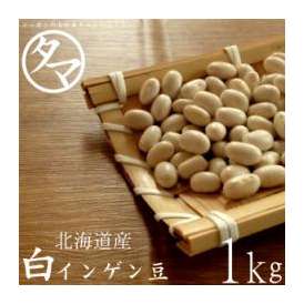 ☆小さなインゲン豆☆和菓子屋さんなどで多く利用される大手亡は、少し甘味のある大変人気の高い豆です。
