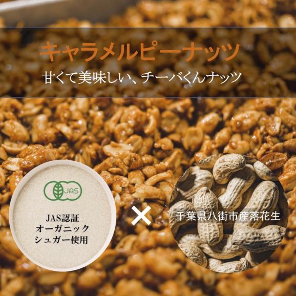 [送料無料] 「無添加」甘くて美味しい、 チーバくんナッツ 100g×2袋セット  保存が簡単チャック付き。03