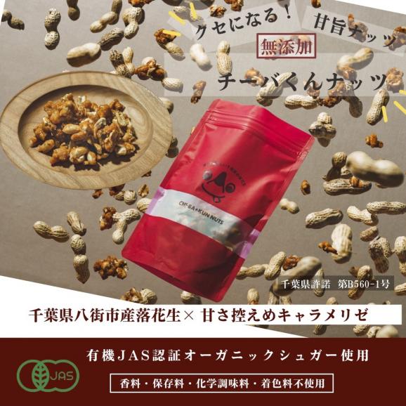 [送料無料] 「無添加」甘くて美味しい、 チーバくんナッツ 100g×３袋セット  保存が簡単チャック付き。02