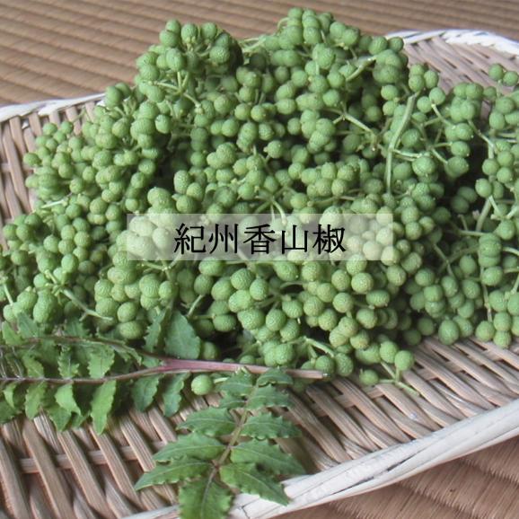 山本勝之助商店 山椒 10g×２袋 和歌山 紀州山椒 希少 山椒粉 フリーズドライ 石臼挽き 手作り 明治創業02