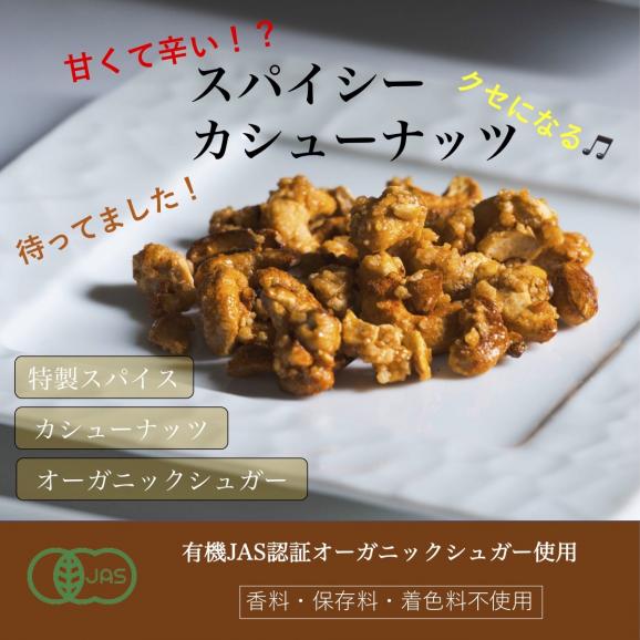 スパイシーカシューナッツ 100g×３袋 手作り カシューナッツ キャラメリゼ スパイシーナッツ 02