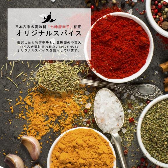 スパイシーカシューナッツ 100g×３袋 手作り カシューナッツ キャラメリゼ スパイシーナッツ 03