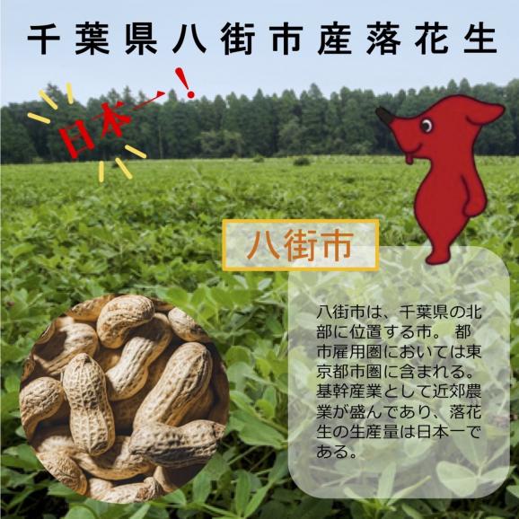 八街市産 バターピーナッツ 無添加 100g×１袋 国産 千葉県 落花生 バター 北海道 小分け 保存に便利 チャック付き05