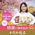 (200gVer)感謝のお試し珈琲福袋(春・Qコロ・Qタン・Qラオ/各200g)