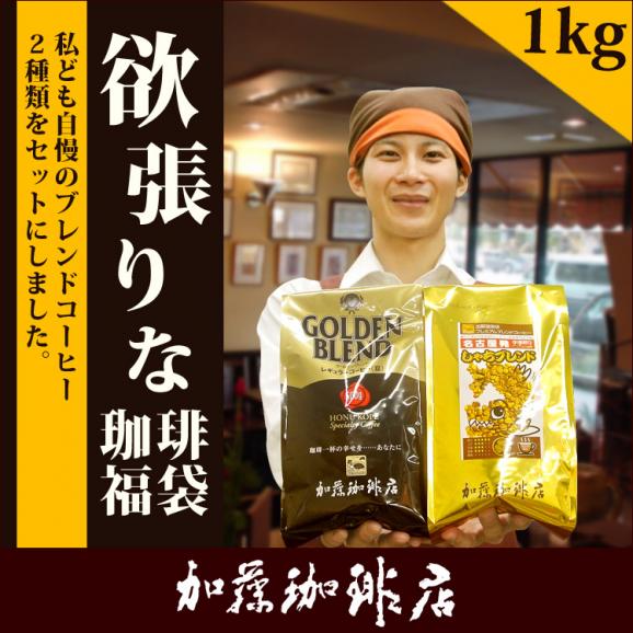 [1kg]欲張りな珈琲福袋[G500・しゃち]/グルメコーヒー豆専門加藤珈琲店/珈琲豆01