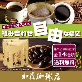 コーヒー豆 コーヒー 1.5kg 福袋 組み合わせ自由な福袋(各500g) 珈琲豆 ギフト 送料無料 加藤珈琲/珈琲豆　コーヒー