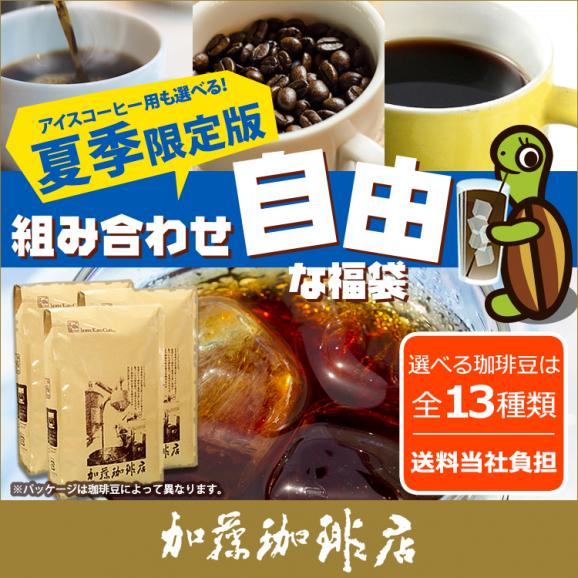 コーヒー豆 コーヒー 1.5kg 福袋 組み合わせ自由な福袋(各500g) 珈琲豆 ギフト 送料無料 加藤珈琲/珈琲豆　コーヒー01
