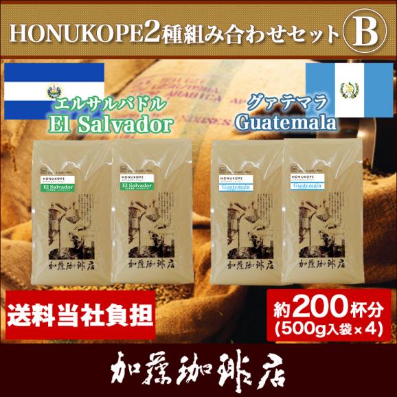 HONUKOPE2種組み合わせセットB(Kエル&times;2・Kグァテ&times;2)/珈琲豆01
