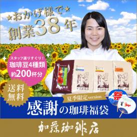 感謝の珈琲福袋(夏・Qコロ・Qタン・ラス)【送料無料】/珈琲豆