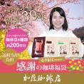 感謝の珈琲福袋(春・ディープ・Qエル・Qコス)【送料無料】/珈琲豆
