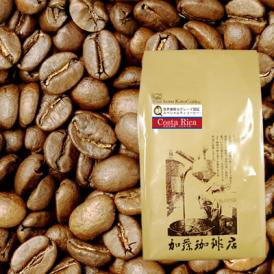 コスタリカ世界規格Qグレード珈琲豆（500g）/グルメコーヒー豆専門加藤珈琲店