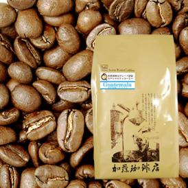グァテマラ世界規格Qグレード珈琲豆（500g）/グルメコーヒー豆専門加藤珈琲店（ガテマラSHB）