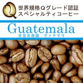 グァテマラ世界規格Qグレード珈琲豆（200g）/グルメコーヒー豆専門加藤珈琲店（ガテマラSHB）