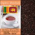 セイロン ディンブラ 紅茶 BOP （200g入袋）/グルメコーヒー豆専門加藤珈琲店