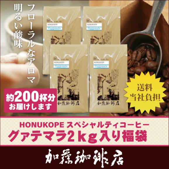 【業務用卸メガ盛り2kg】グァテマラHONUKOPEスペシャルティ珈琲豆(Kグァテ&times;4)01