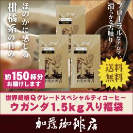 世界規格Qグレード珈琲ウガンダ1.5kg入り福袋(Qウガ×3）/珈琲豆