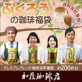 ふくろうの珈琲福袋(しゃち・青・赤・金/各500g)