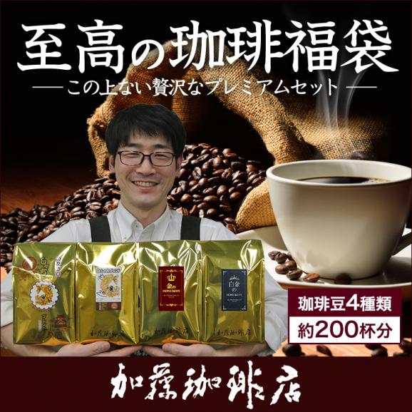 至高の福袋(CエルDB&times;2・金・白金・鯱・白鯱/各500g)01