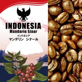 インドネシア マンデリン シナール（500g）/珈琲豆