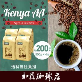 【業務用卸メガ盛り2kg】ケニアAA（Nyeri & Kiambu）[ケニAA×4] /珈琲豆　加藤珈琲店　送料無料　コーヒー　コーヒー豆　加藤珈琲　スペシャルティーコーヒー