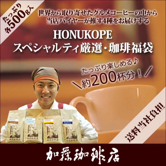 HONUKOPEスペシャルティ珈琲・厳選福袋(Kニカ・Kホン・Kコロ・Kグァテ 各500g) 珈琲豆 加藤珈琲　コーヒー豆 コーヒー 2kg 福袋 01