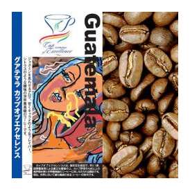 グァテマラカップオブエクセレンス（300g）/グルメコーヒー豆専門加藤珈琲店