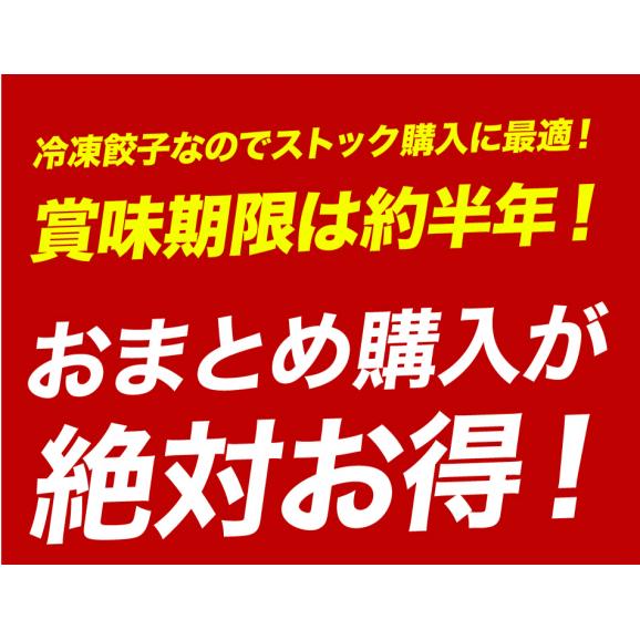 餃子専門店イチロー 特製しょうが餃子30個（味噌だれ付）冷凍生餃子03