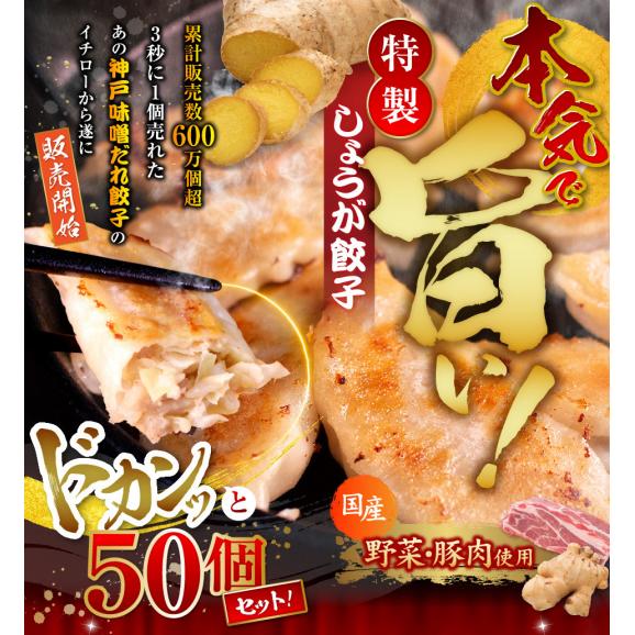 餃子専門店イチロー 特製しょうが餃子50個（味噌だれ付）冷凍生餃子05