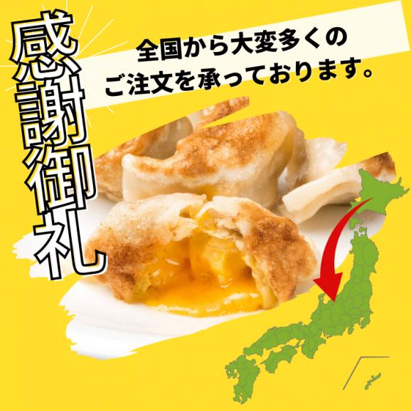宝永チーズ餃子　15個入 02