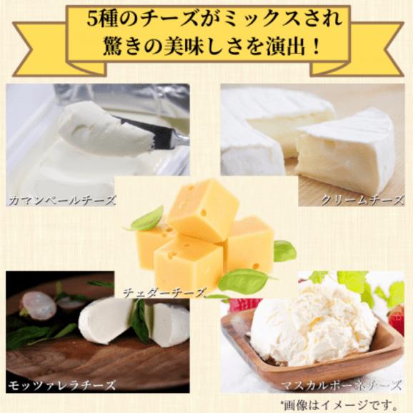 とろける５種のチーズインハンバーグ【お得用】04