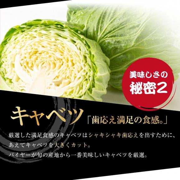 【月間出荷数1万件突破！】送料無料◆黒餃子 ぎょうざ 冷凍 96個 約16人前03