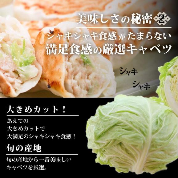 本餃子96個黒餃子96個ギガ盛り！192個送料無料05