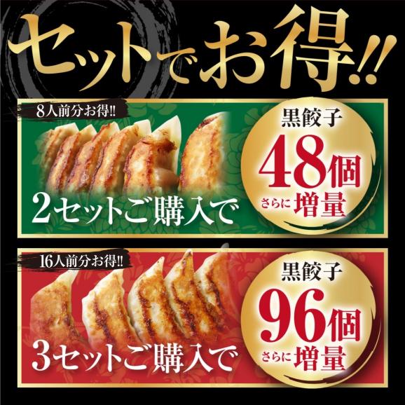 スタミナがっつり黒餃子48個野菜たっぷり本餃子48個 合計96個セット 送料無料02