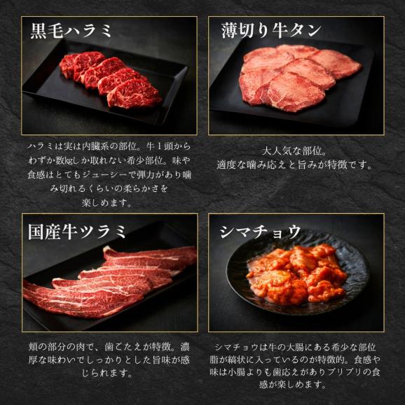 9種のホルモン食べ比べ 360g タレ付き 牛タン 焼肉セット バーベキュー お祝い グルメ 出産祝い 結婚祝い 快気祝い 牛肉 お歳暮 焼肉 セット お取り寄せ ギフト 肉 大阪 鶴橋 焼肉白雲台03